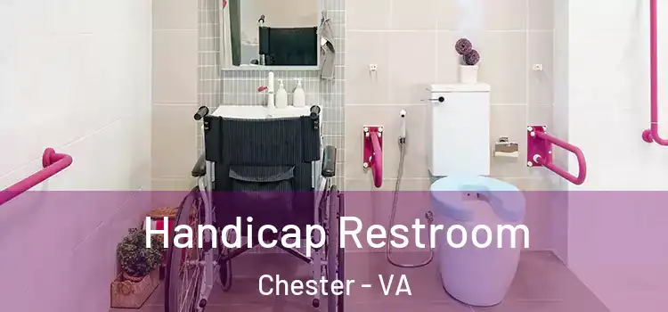 Handicap Restroom Chester - VA