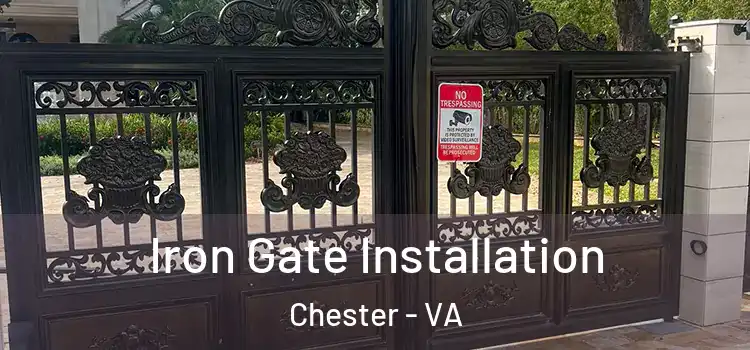 Iron Gate Installation Chester - VA